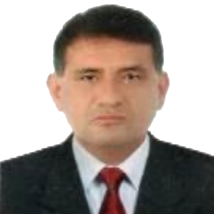 Alfonso Salinas Castillo