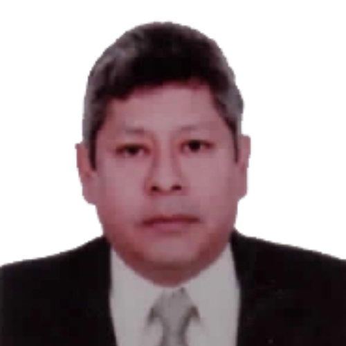 Mario Alejandro Artica Gonzales